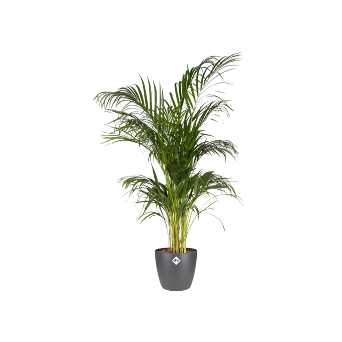 brussels rond 18cm antraciet